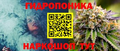 трава Ставрополь