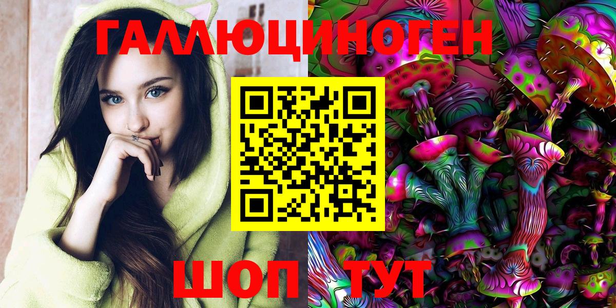 Псилоцибиновые грибы Psilocybe Новочебоксарск