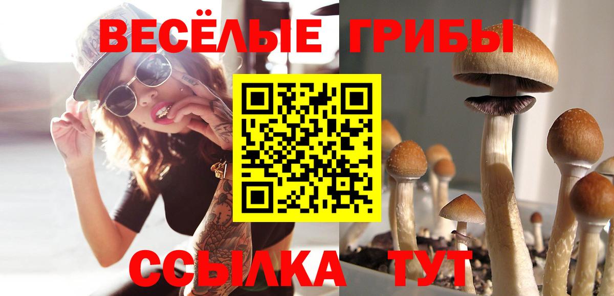 Новочебоксарск  Галлюциногенные грибы Magic Shrooms  Вход с VPN 
